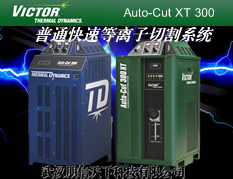 AutoCut 300ٿи
